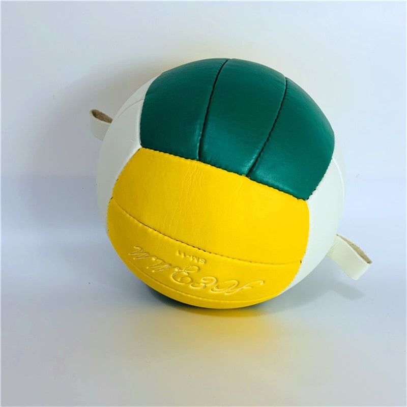 SOEZmm Attack Trainer Volleyball SVR100H , with 2 pcs 2M Elastic Cords ,for Serving,Arm Swings,Spiking Power Drills,Training AID
