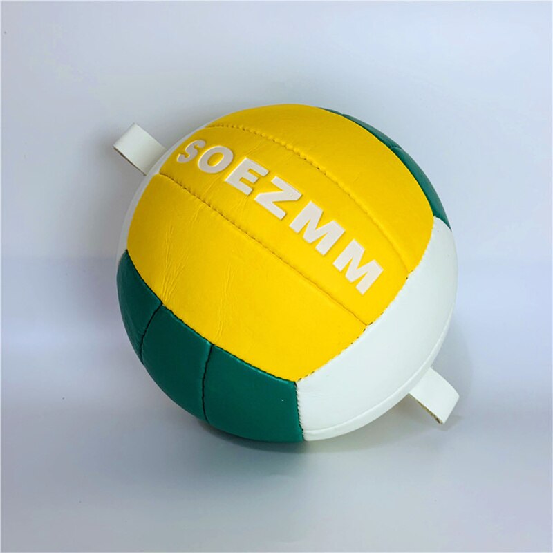 SOEZmm Attack Trainer Volleyball SVR100H , with 2 pcs 2M Elastic Cords ,for Serving,Arm Swings,Spiking Power Drills,Training AID